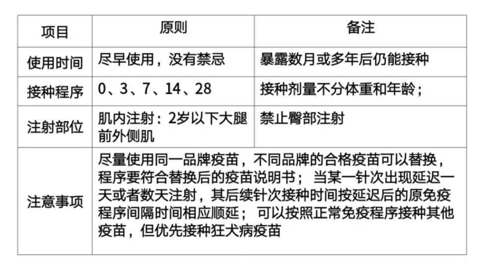 关于两个月婴儿接种狂犬疫苗的重要性及注意事项