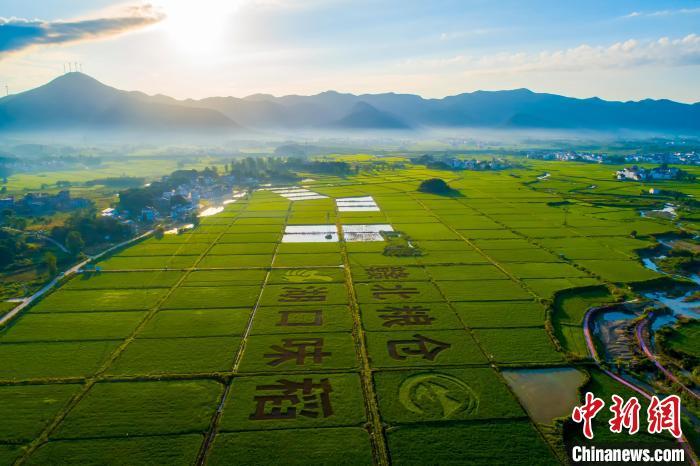 广东省土地托管方案，重塑土地资源利用的新模式